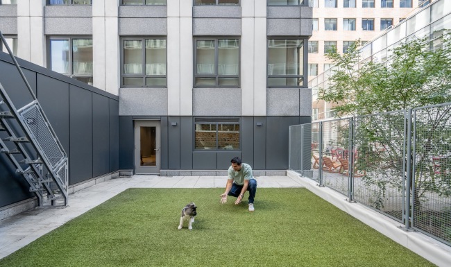 dog park